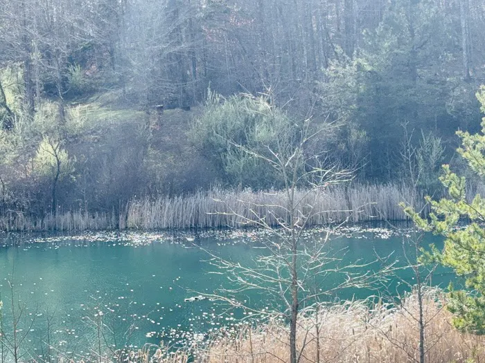 Serene Haven Retreat Campground 6