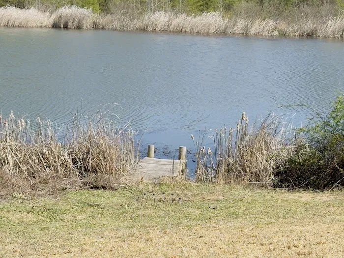 Serene Haven Retreat Campground 2