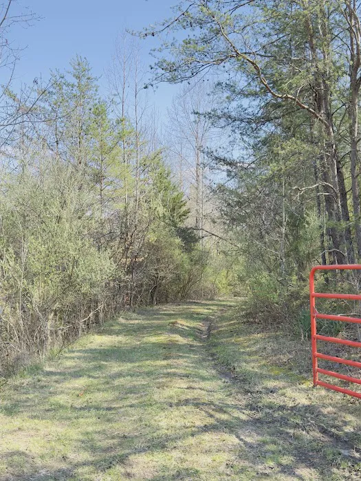 Serene Haven Retreat Campground 4