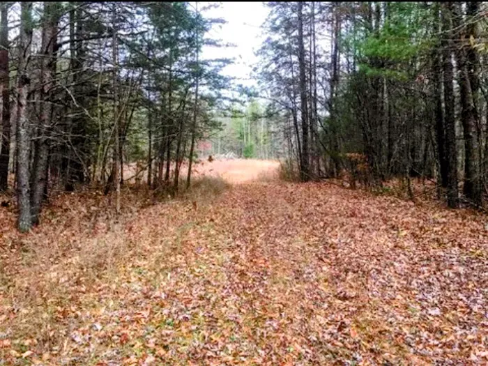 Serene Haven Retreat Campground 1