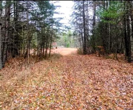 Serene Haven Retreat Campground