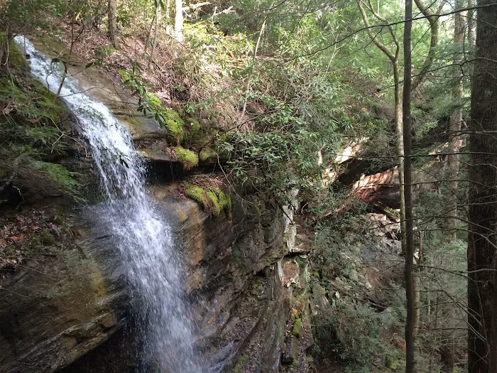 Bee Rock / Rockcastle Rapids Trail Head 6