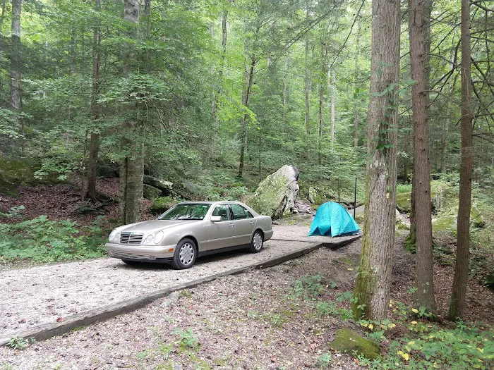 Bee Rock / Rockcastle Rapids Trail Head 9