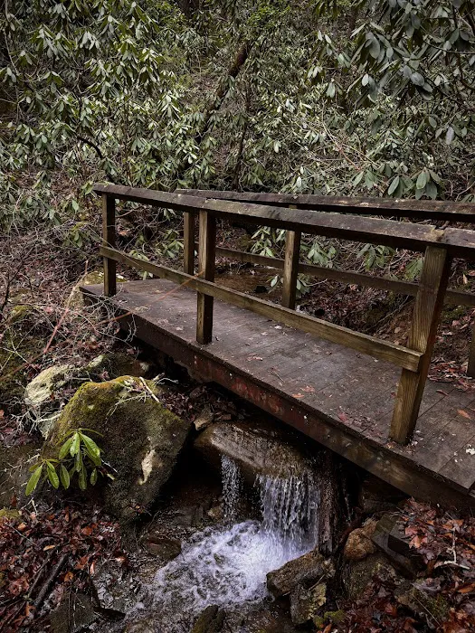 Bee Rock / Rockcastle Rapids Trail Head 4