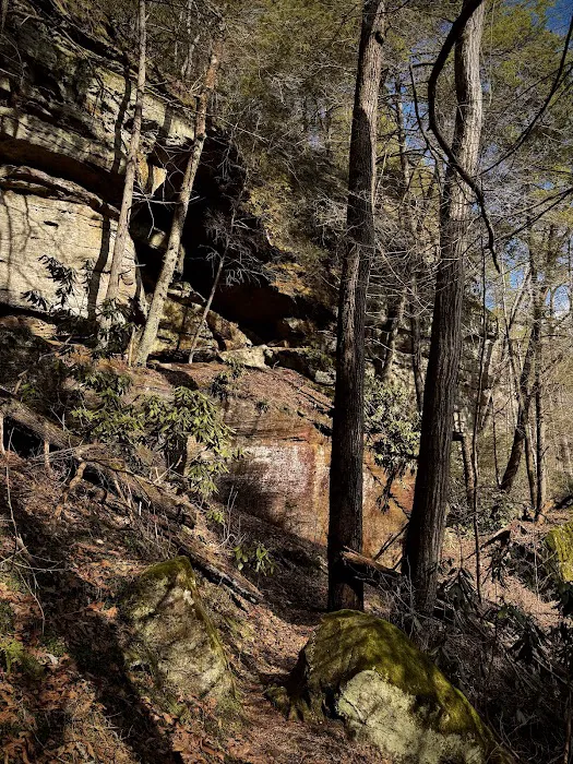 Bee Rock / Rockcastle Rapids Trail Head 7