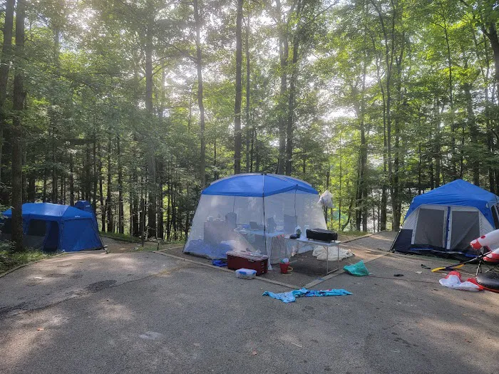 Holly Bay Campground 3