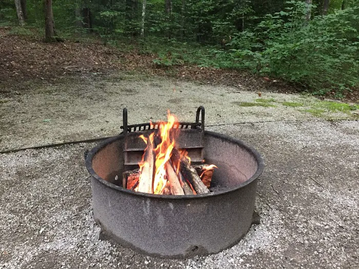 Holly Bay Campground 7