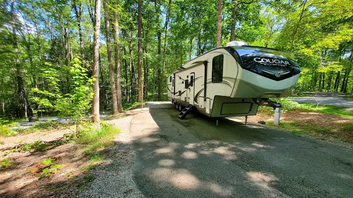 Holly Bay Campground 10