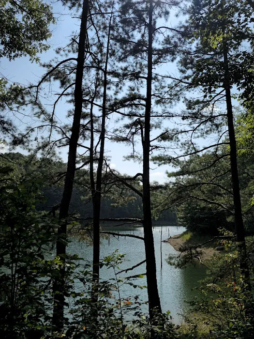 Holly Bay Campground 5