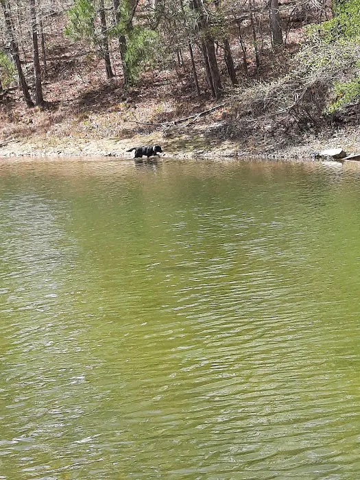 U.S. Army Corps of Engineers Laurel River Lake Picnic Area 10
