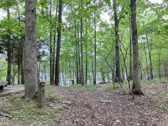 Grove Boat-In Campground 7