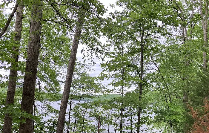 Grove Boat-In Campground 9