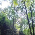 Copperas Creek Canoe Launch
