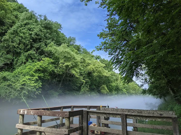 Dale Hollow Dam Campground 8