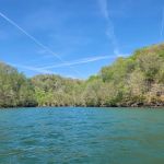 Dale Hollow Dam Campground