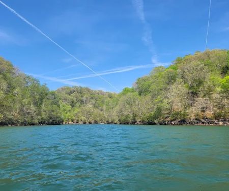 Dale Hollow Dam Campground