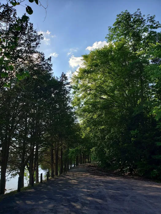 Cove Creek Campground 9