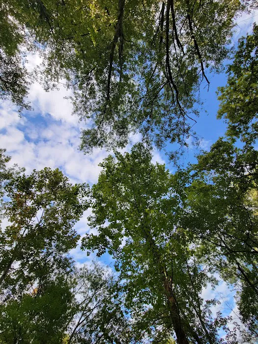 River Trail Campground 6