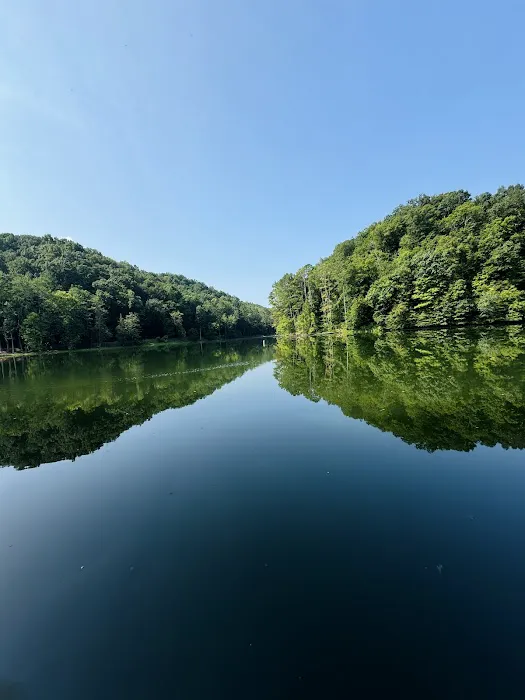 Standing Stone Campground 4