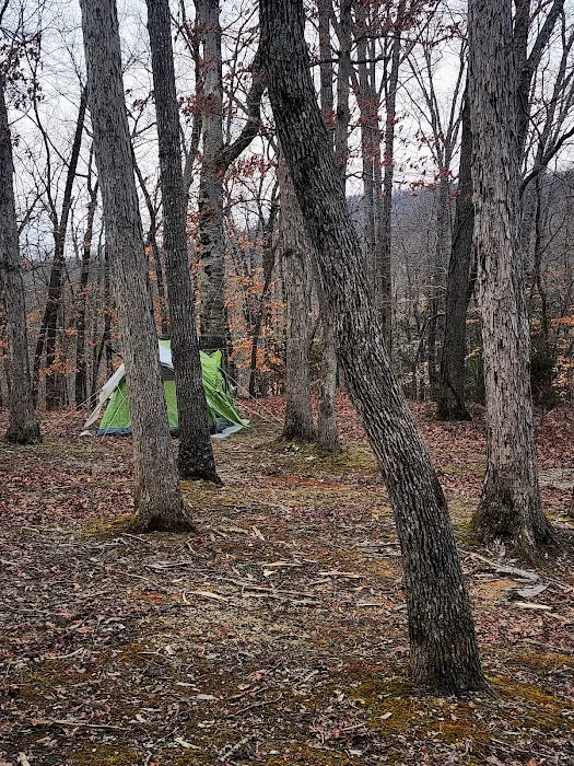 Standing Stone Campground 3