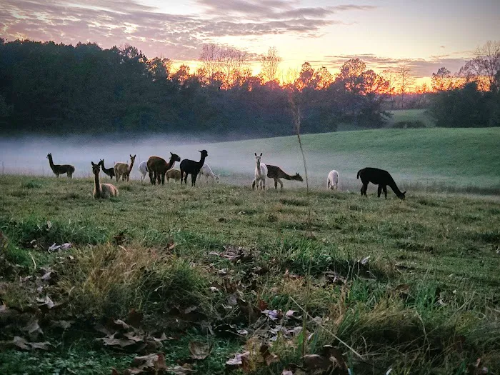 Tapestry Acres 3