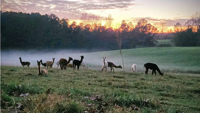 Tapestry Acres 1