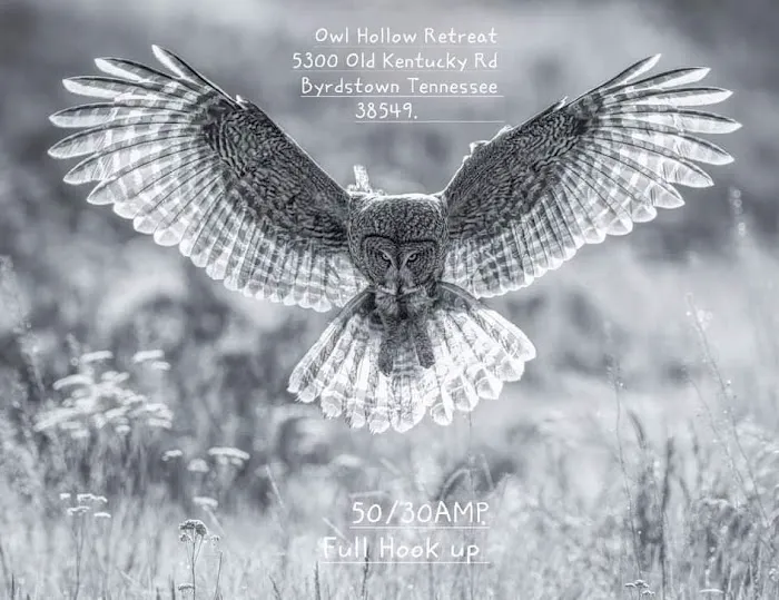 Owl Hollow Retreat 8