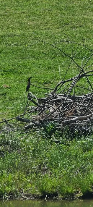 Owl Hollow Retreat 6