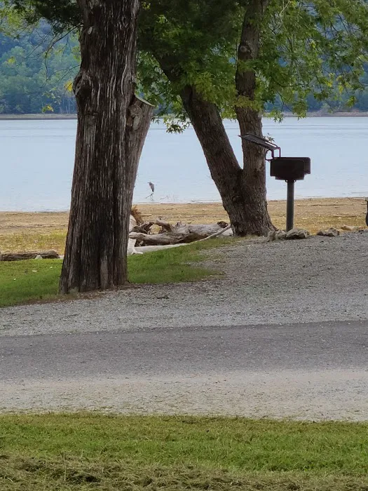 Obey River Campground 5