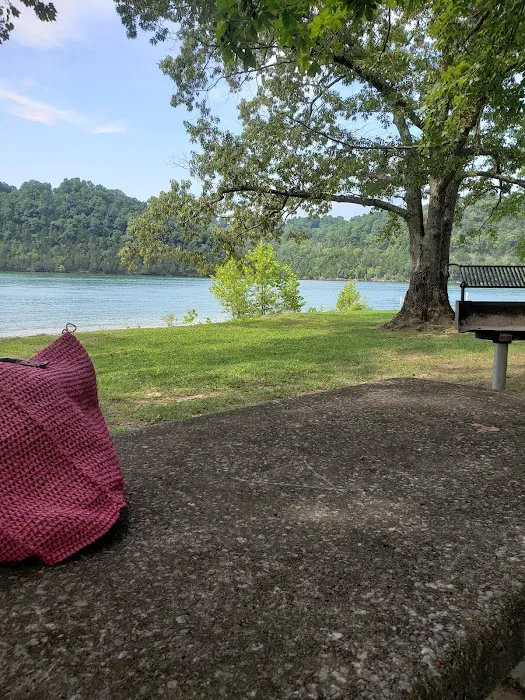 Obey River Campground 9