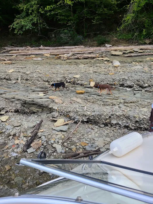U.S. Army Corps of Engineers Cumberland Point Campground 1