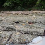 U.S. Army Corps of Engineers Cumberland Point Campground