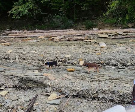 U.S. Army Corps of Engineers Cumberland Point Campground