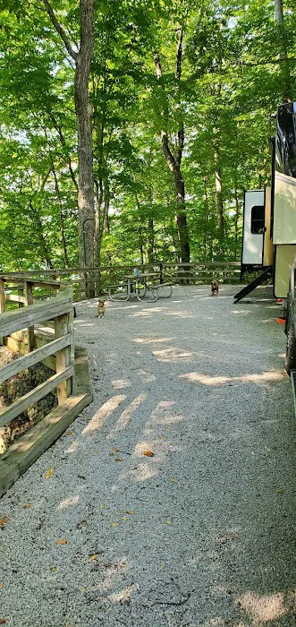 U.S. Army Corps of Engineers Cumberland Point Campground 9