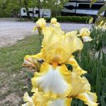 Lake Cumberland Camping