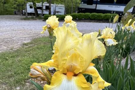 Lake Cumberland Camping