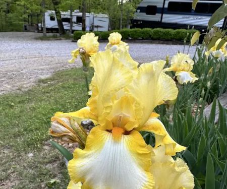 Lake Cumberland Camping