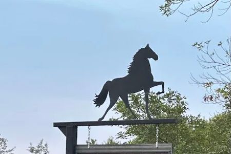 Circle L Campsites & Stables