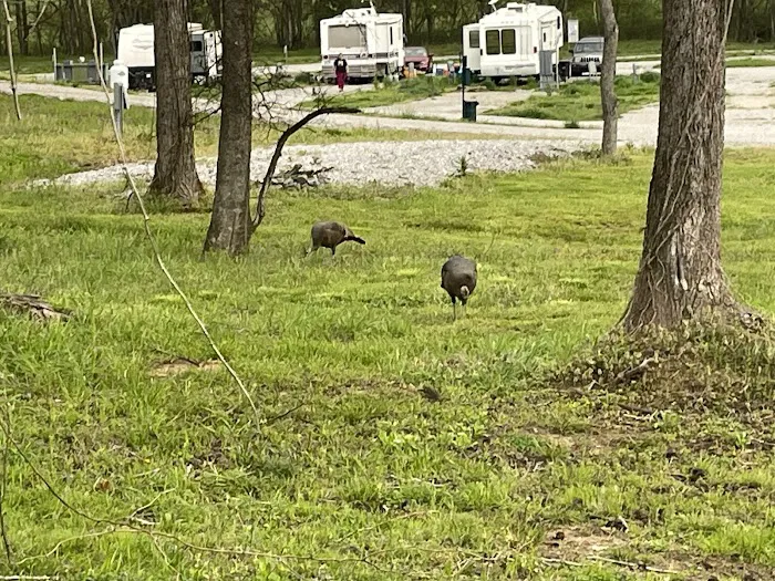 Cumberland Valley RV Ranch 2