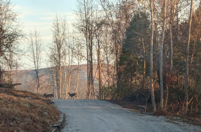 Cumberland Valley RV Ranch 5