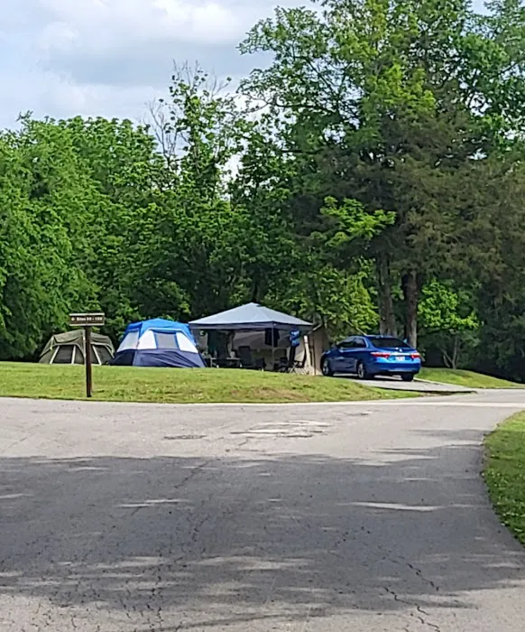 Salt Lick Creek Campground 6