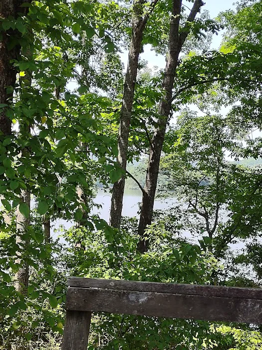 Salt Lick Creek Campground 10