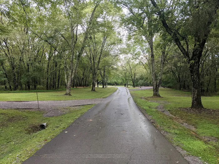 Salt Lick Creek Campground 9