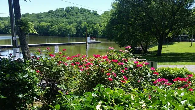Shady Cove Resort, Marina & Campground LLC 2