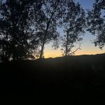 Futurology Farms