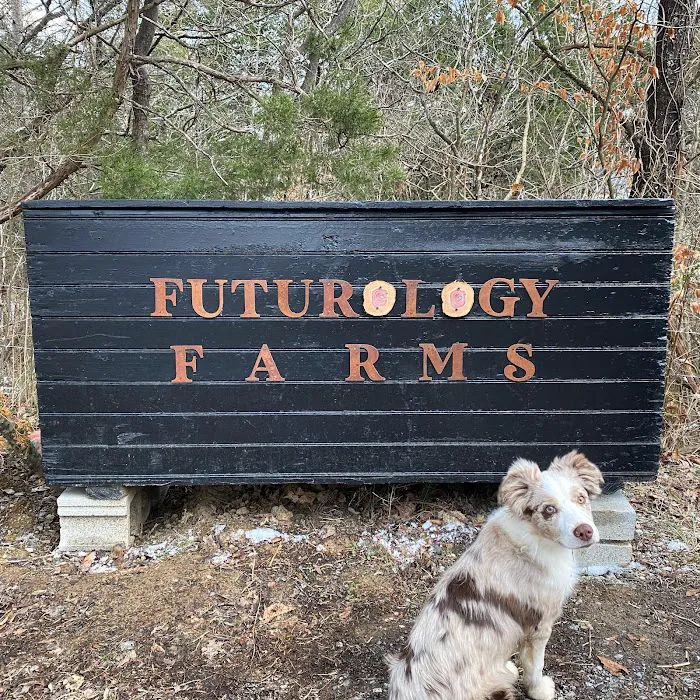 Futurology Farms 7
