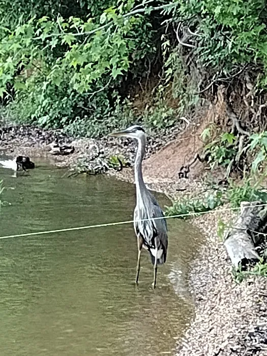 Nathan Bedford State Park Lakeshore Campground 8