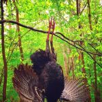 Hog Hollow Campground