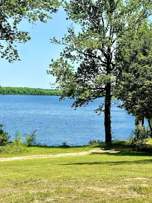 Hog Hollow Campground 6