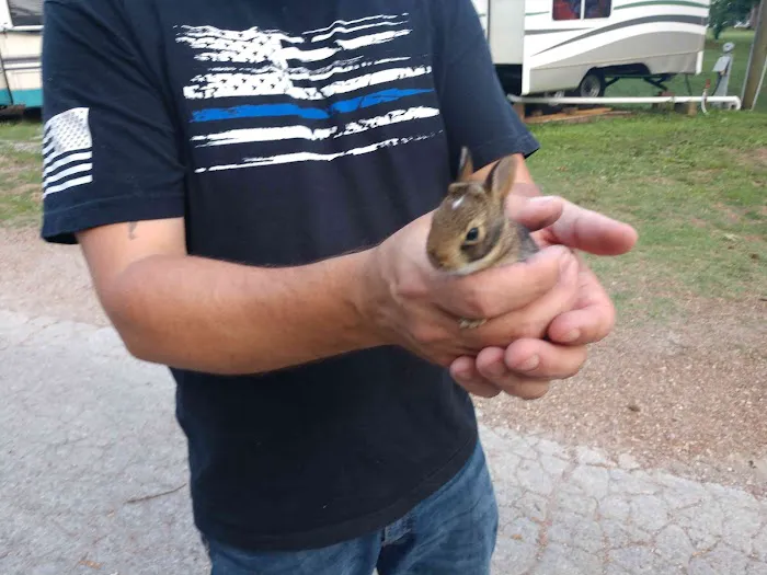 New Johnsonville Harbor Campground 10